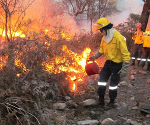 DAFF goedkeuring vir een groot Brandbeskermingsvereniging vir die Overberg